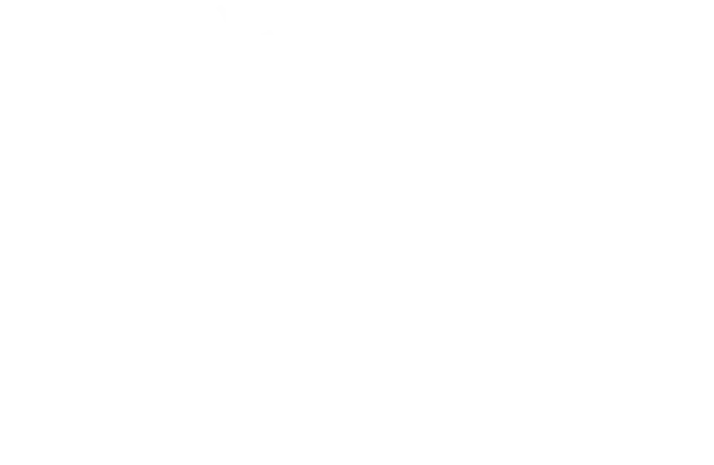 fareskytrip logo white